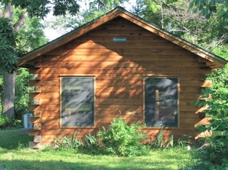 Basswood